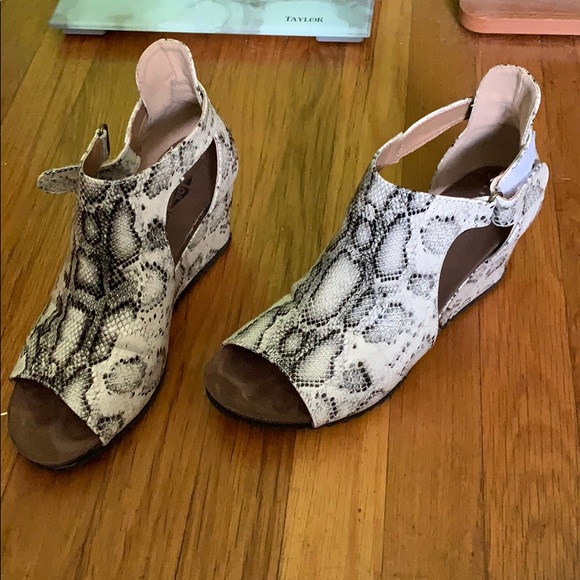 Shoes - Snake Skins shoes